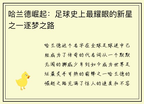 哈兰德崛起：足球史上最耀眼的新星之一逐梦之路