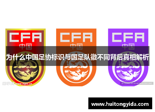 为什么中国足协标识与国足队徽不同背后真相解析